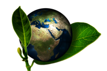 ECO technology
